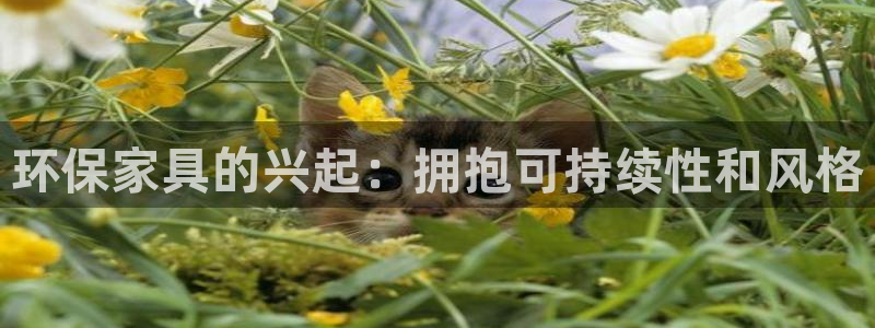 杏耀主管qq