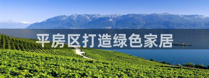 杏耀平台的专用通道