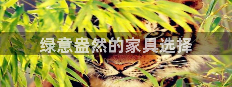 杏耀手机客户端