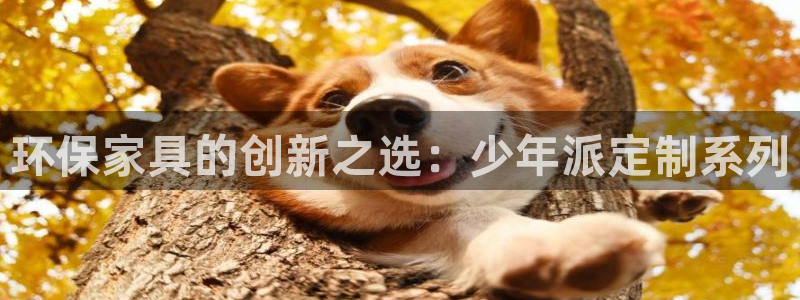 杏耀登陆