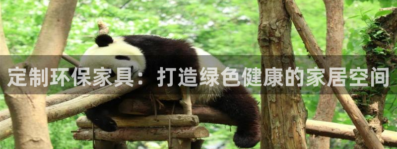 杏耀登陆线路