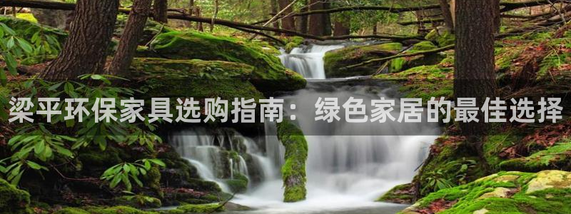 杏耀平台代理怎么赚钱的