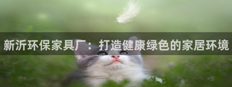 杏耀登陆测速