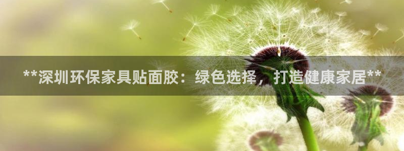 杏耀总代