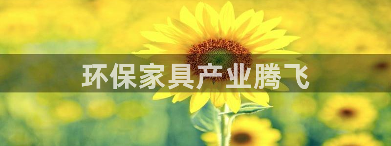 杏耀代理1980