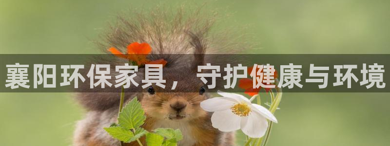 杏耀开户app下载
