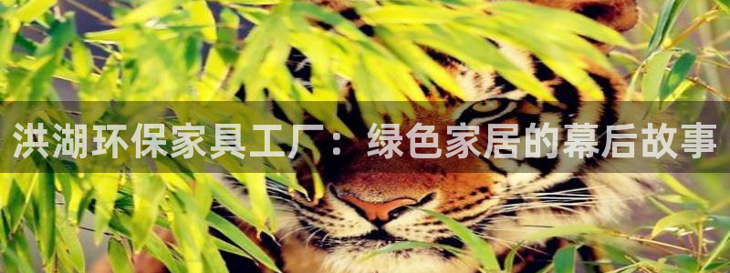 杏耀平台主管
