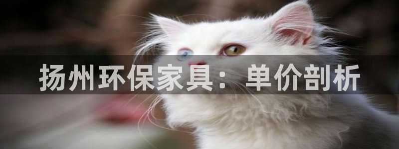 杏耀登陆