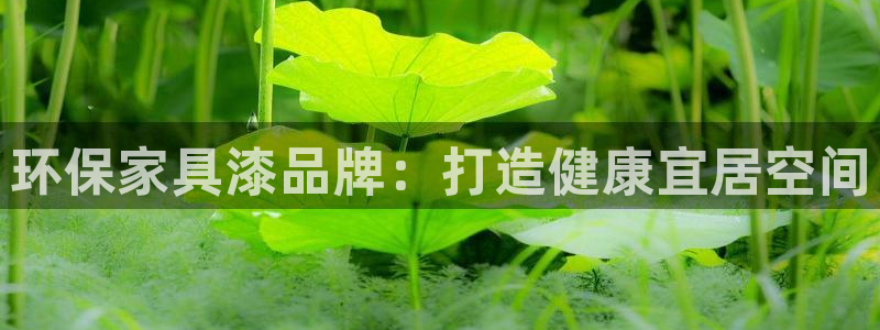 杏耀平台代理怎么赚钱的