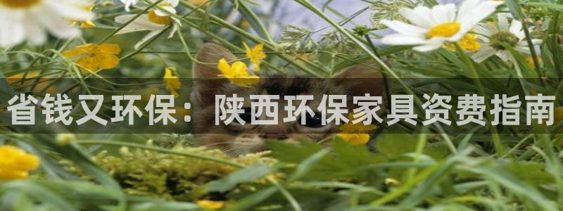 杏耀平台登陆地址