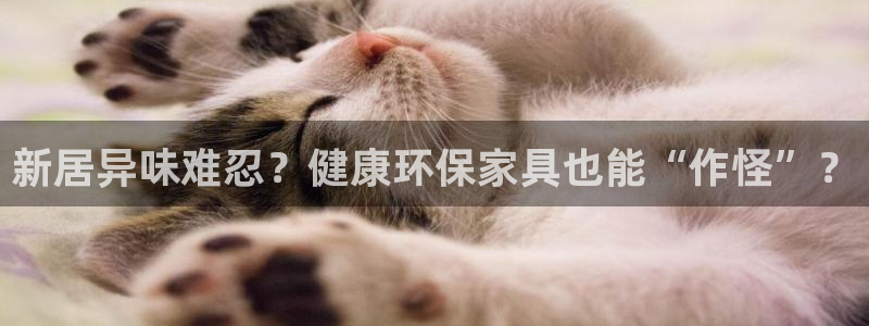 杏耀官方