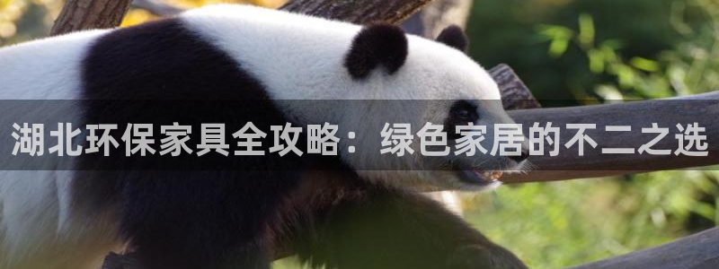 杏耀平台官方网站下载