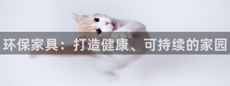 杏耀代理连接