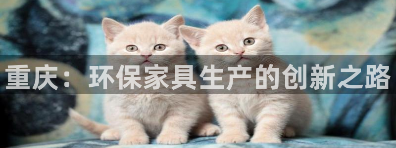 杏耀登陆电脑线路测速
