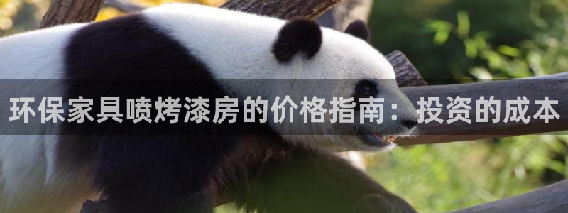 杏耀平台代理怎么赚钱的