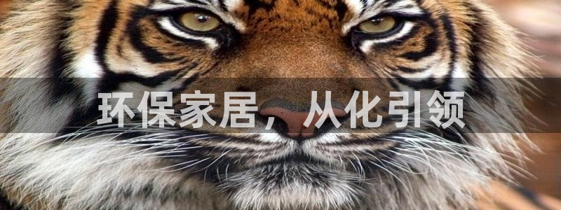 杏耀平台没有了