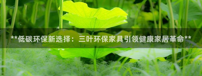 杏耀平台待遇