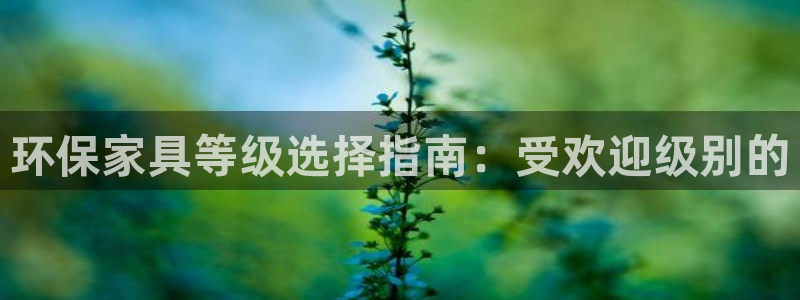 杏耀平台登陆地址