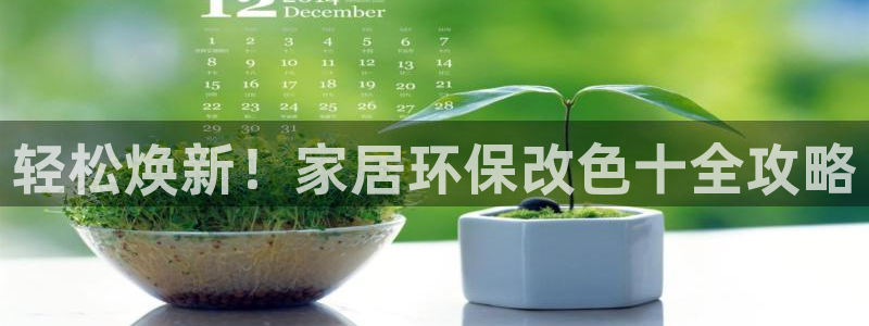 杏耀平台代理