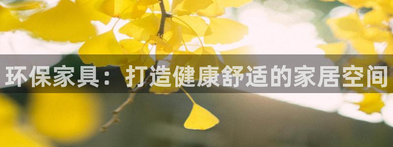 杏耀代理主管qq