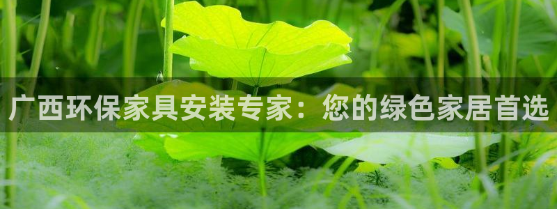杏耀平台注册入口：广西环保家具安装专家：您的绿色家居首选