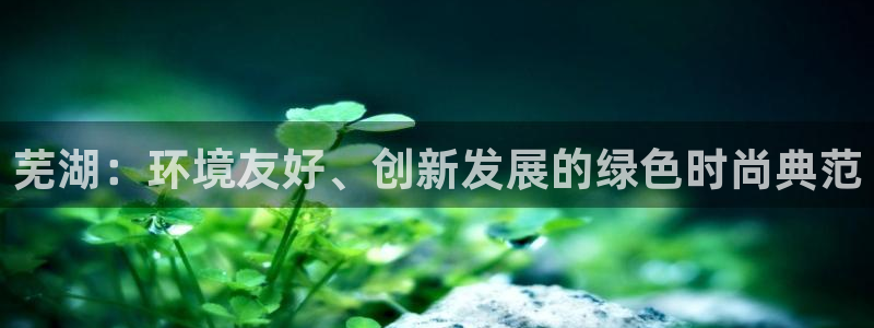 杏耀平台代理怎么赚钱：芜湖：环境友好、创新发展的绿色时尚典范