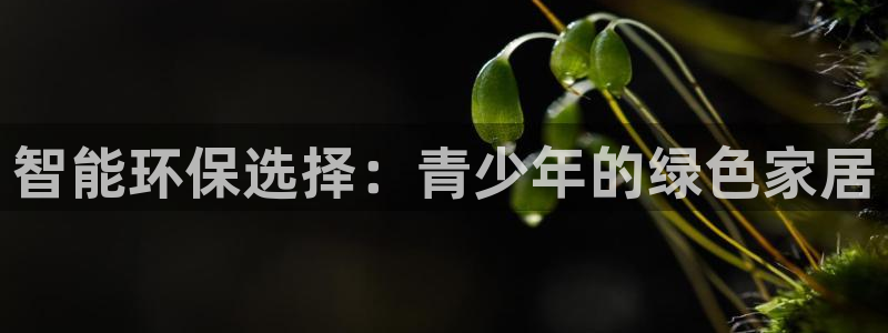 杏耀平台登录网站：智能环保选择：青少年的绿色家居