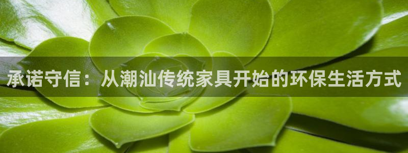 杏耀平台注册网址：承诺守信：从潮汕传统家具开始的环保生活方式