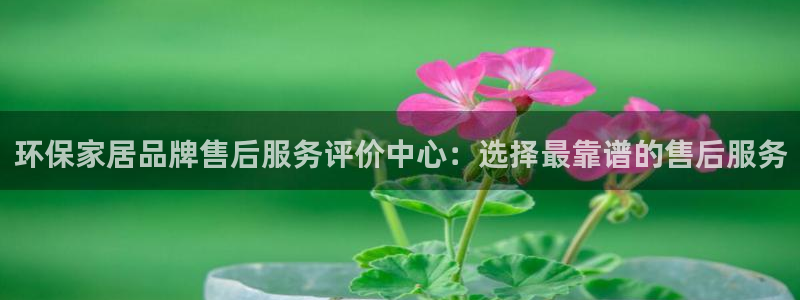 杏耀总代理