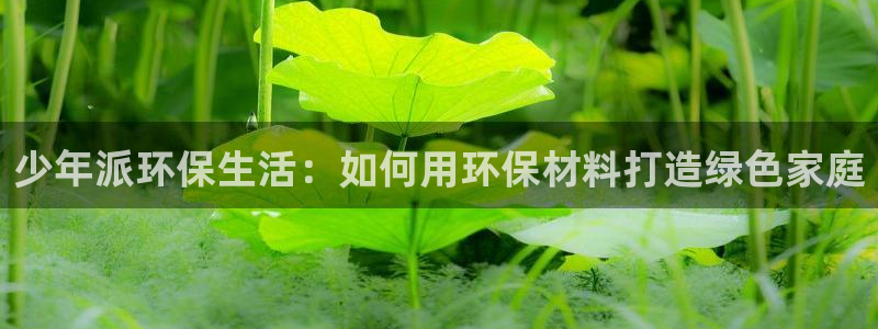 杏耀登陆测速：少年派环保生活：如何用环保材料打造绿色家庭