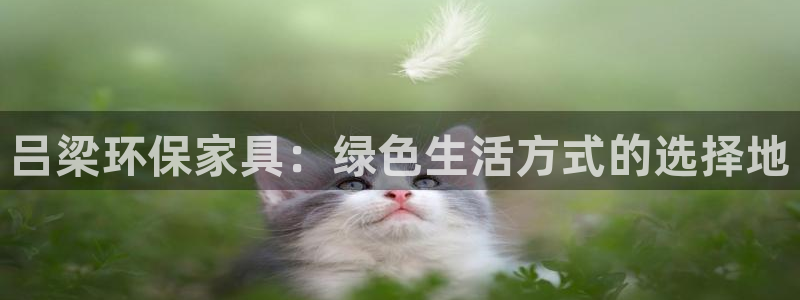 杏耀平台还在吗：吕梁环保家具：绿色生活方式的选择地