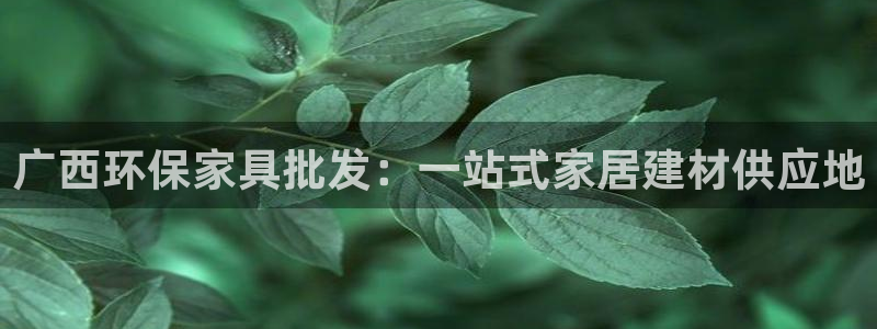 杏耀代理日工资多少