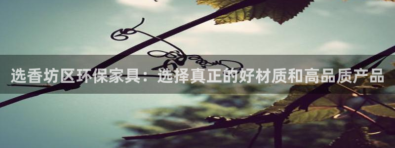 杏耀登陆：选香坊区环保家具：选择真正的好材质和高品质产品