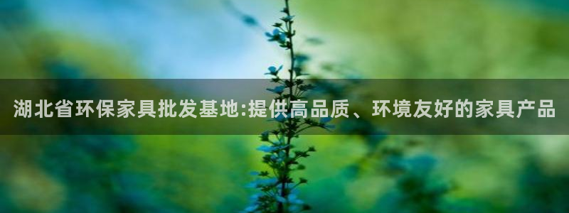 杏耀注册登陆：湖北省环保家具批发基地:提供高品质、环境友好的