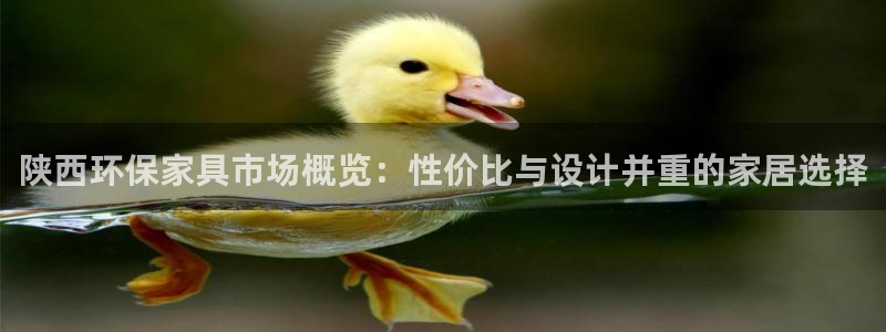 杏耀注册登录官网：陕西环保家具市场概览：性价比与设计并重的家