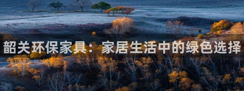 杏耀平台开户：韶关环保家具：家居生活中的绿色选择