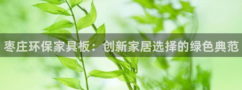 杏耀注册线路：枣庄环保家具板：创新家居选择的绿色典范