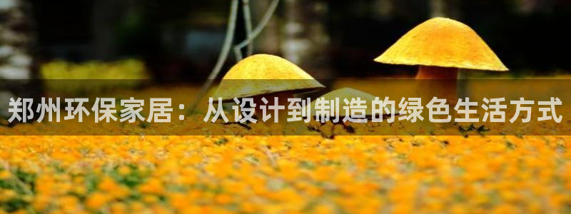 杏耀平台登录网站：郑州环保家居：从设计到制造的绿色生活方式