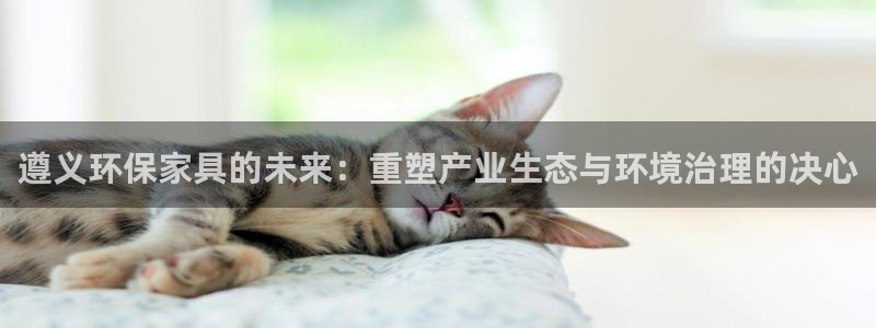 杏耀手机客户端：遵义环保家具的未来：重塑产业生态与环境治理的