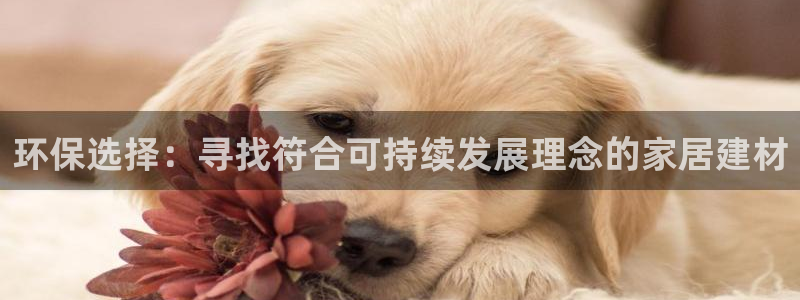 杏耀登陆网站