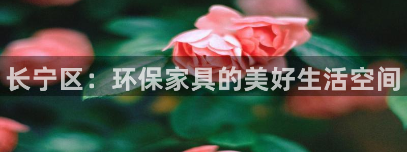 杏耀登陆网站：长宁区：环保家具的美好生活空间