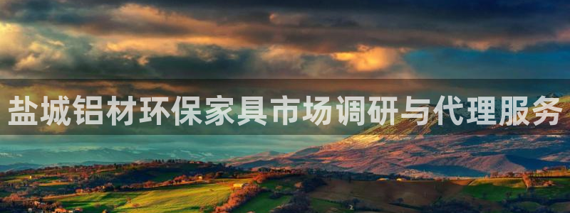 杏耀平台注册代理：盐城铝材环保家具市场调研与代理服务