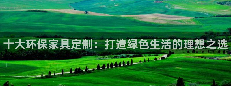 杏耀平台黑款：十大环保家具定制：打造绿色生活的理想之选