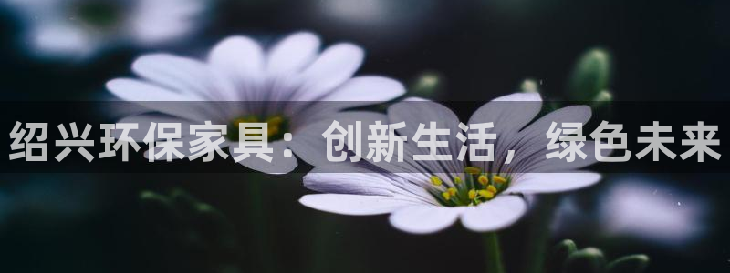 杏耀平台代理注册多少钱一年：绍兴环保家具：创新生活，绿色未来