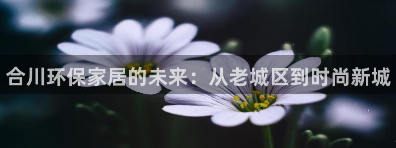 杏耀平台服务中心怎么样