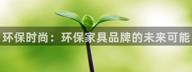 杏耀平台的专用通道：环保时尚：环保家具品牌的未来可能