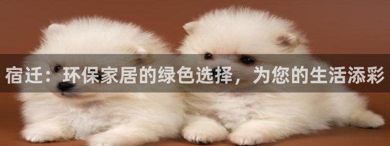 杏耀代理日工资多少