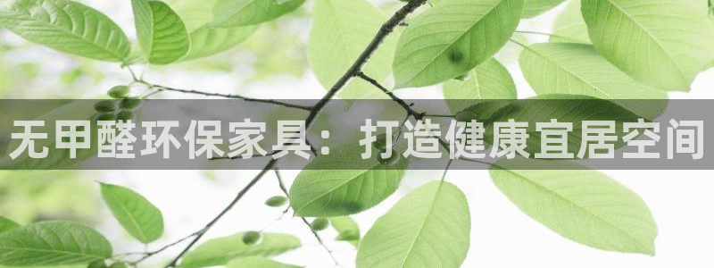 杏耀平台指定：无甲醛环保家具：打造健康宜居空间