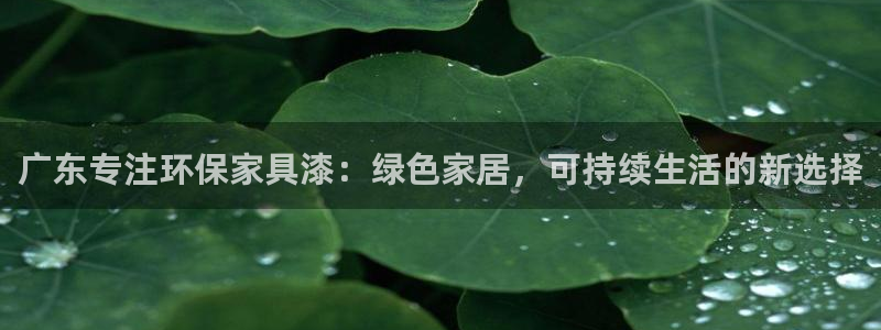 杏耀平台手机app：广东专注环保家具漆：绿色家居，可持续生活