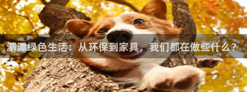 杏耀平台到底能玩吗：湄潭绿色生活：从环保到家具，我们都在做些